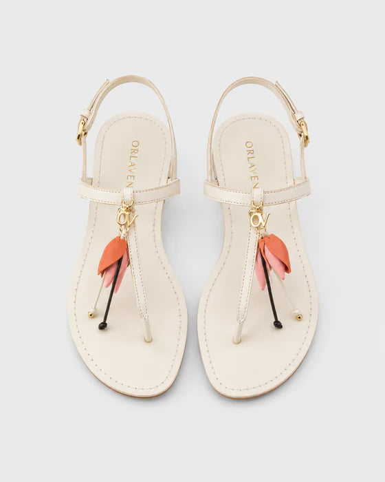 Women’s New Arrivals